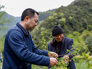 未標(biāo)題-1-恢復(fù)的 副本.jpg